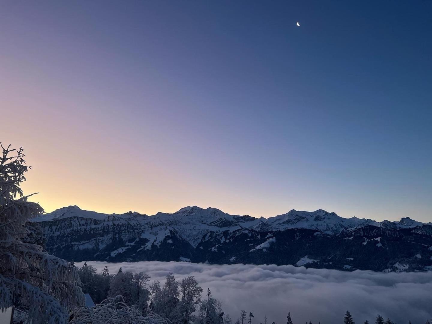 Chalet Friesli Beatenberg Bagian luar foto