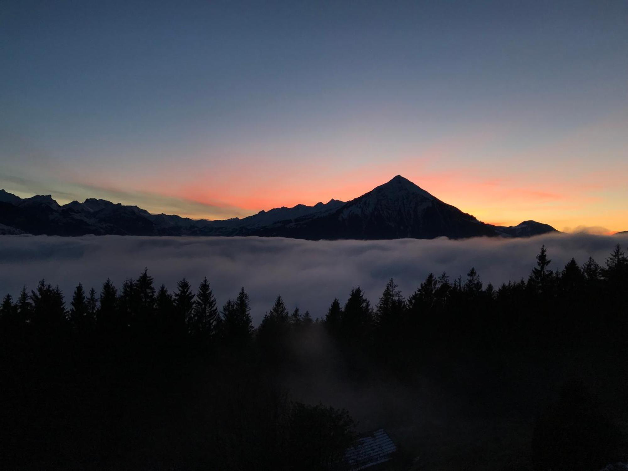 Chalet Friesli Beatenberg Bagian luar foto