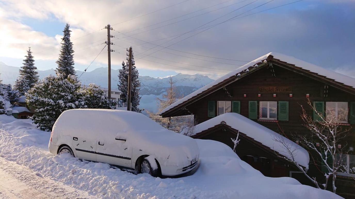 Chalet Friesli Beatenberg Bagian luar foto