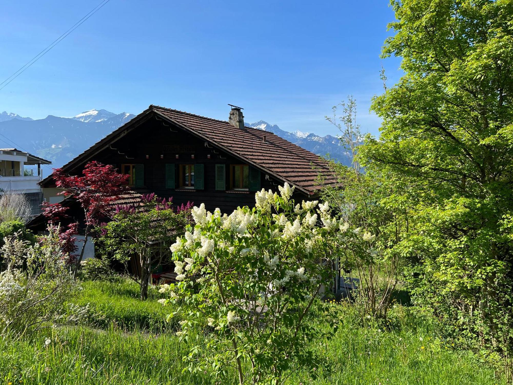 Chalet Friesli Beatenberg Bagian luar foto